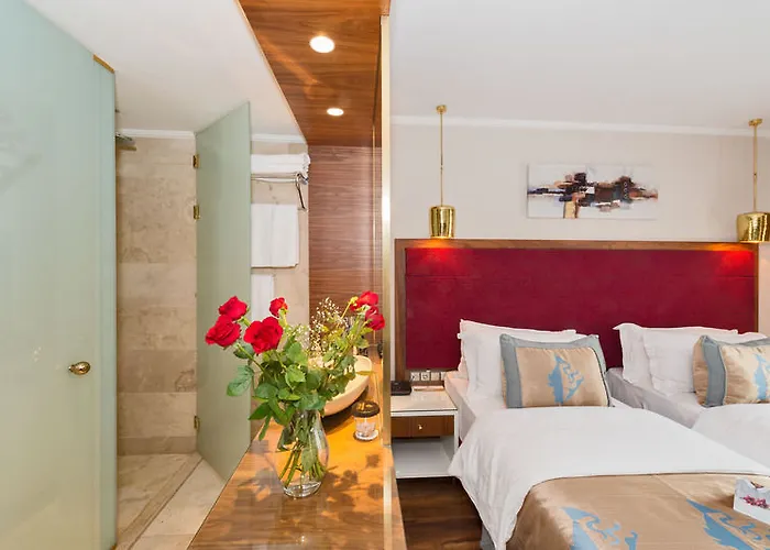 达客门酒店2 3* 伊斯坦布尔